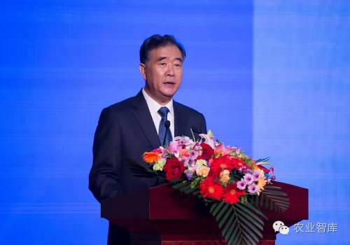 集团副总裁陈建义先生受邀出席届国际产能合作论坛暨第八届中国对外投资合作洽谈会